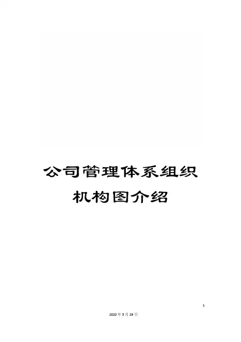 公司管理体系组织机构图介绍