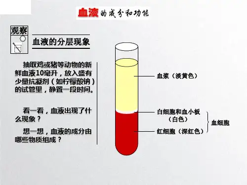 第四章-人体内物质的运输示范课件PPT
