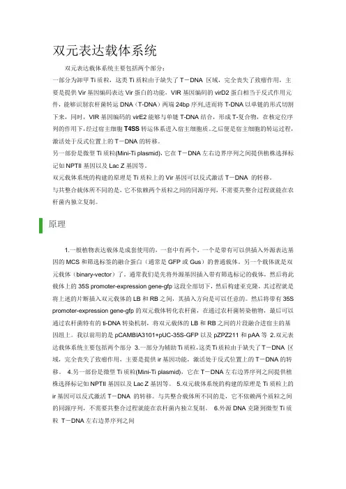 双元表达载体系统