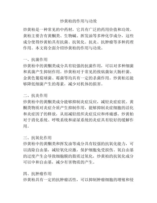 炒黄柏的作用与功效