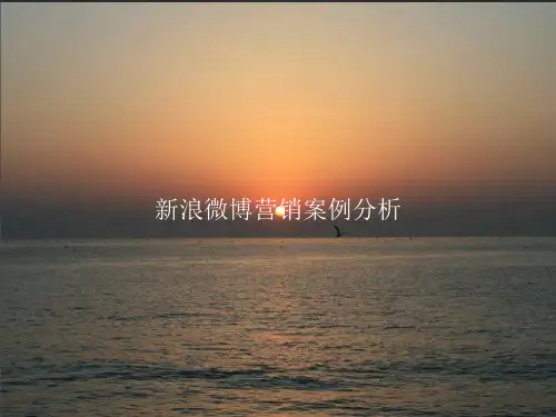 新浪微博营销案例分析PPT课件