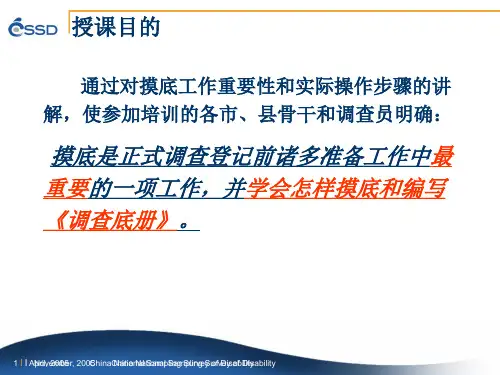 广东省第二次全国残疾人抽样调查-29页PPT资料