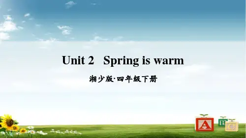 湘少版四年级英语下册Unit 2   Spring is warm
