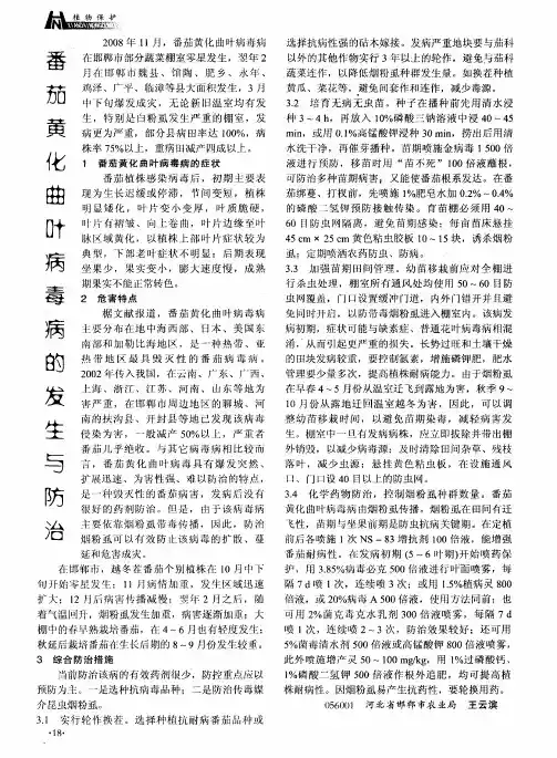 番茄黄化曲叶病毒病的发生与防治