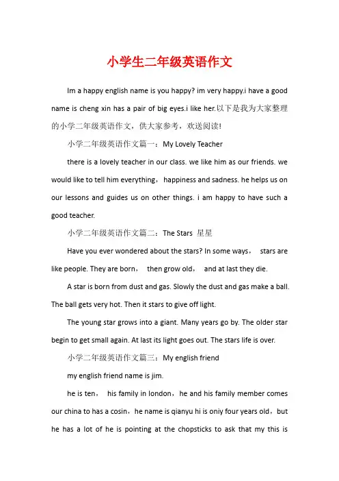 小学生二年级英语作文