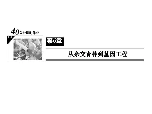 高中生物 第6章 从杂交育种到基因工程 第一节《基因工