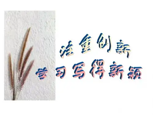 注重创新-学习写得新颖