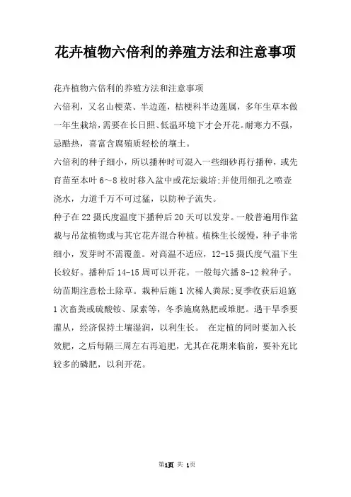 花卉植物六倍利的养殖方法和注意事项