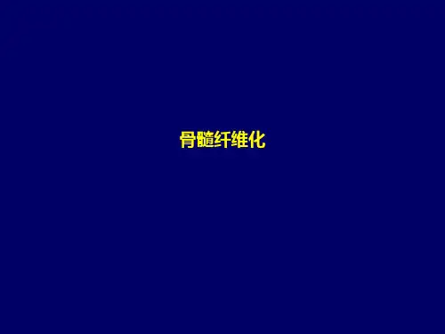 骨髓纤维化简介ppt课件