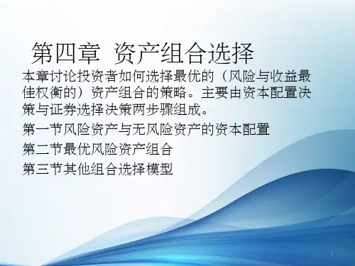 《资产组合选择》PPT课件