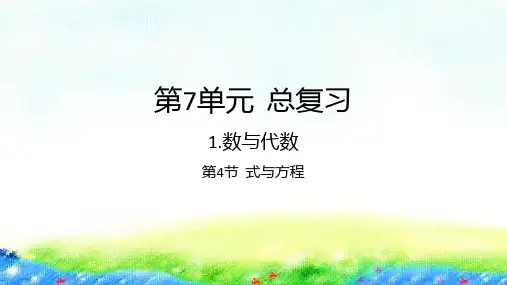 六年级下册数学课件-7.1.4式与方程苏教版共22张PPT.pptx