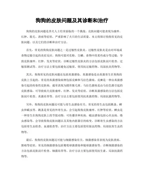 狗狗的皮肤问题及其诊断和治疗