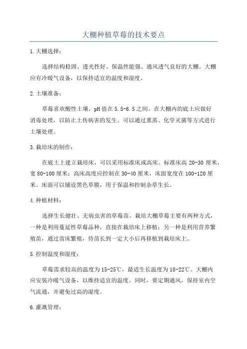 大棚种植草莓的技术要点