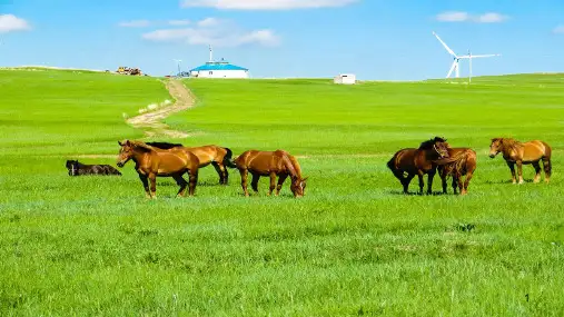 高考高中地理一轮复习 区域地理-中国西北地区3(共118页)