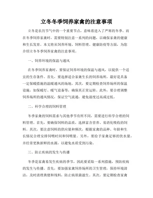 立冬冬季饲养家禽的注意事项