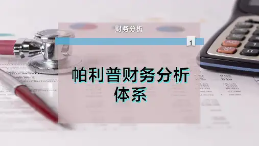 帕利普财务分析体系