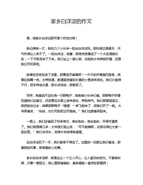 家乡白洋淀的作文