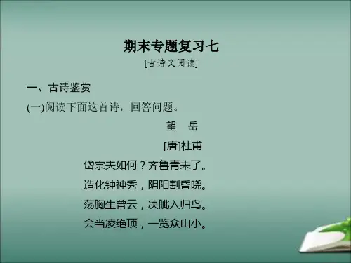 部编人教版七年级下册语文期末专题复习七：古诗文阅读 课件ppt