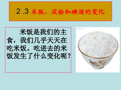 教科版科学六年级下册2-3《米饭、淀粉与碘酒的变化》