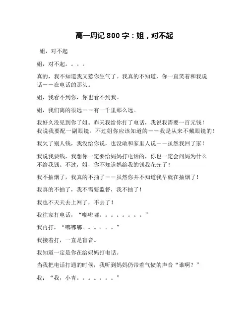 高一周记800字：姐,对不起