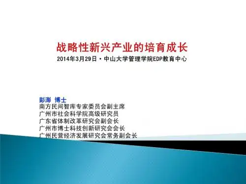 战略性新兴产业(中大)