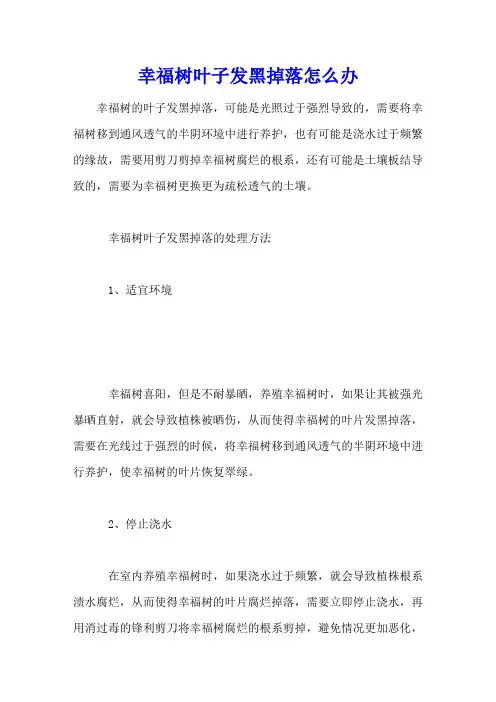 幸福树叶子发黑掉落怎么办