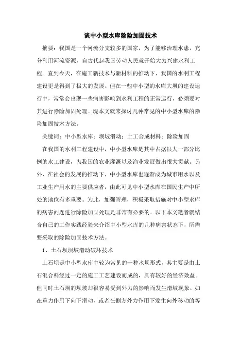 谈中小型水库除险加固技术