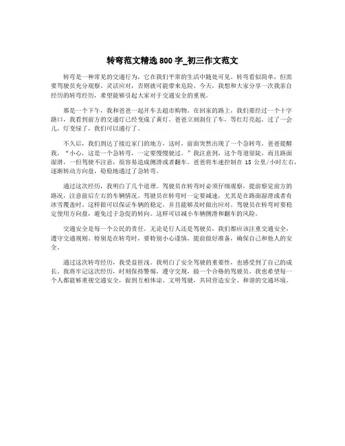 转弯范文精选800字_初三作文范文