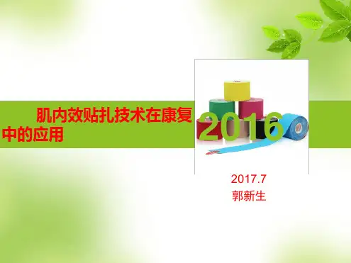 肌内效贴技术完整版