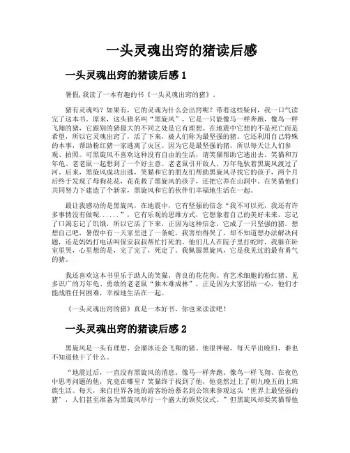 一头灵魂出窍的猪读后感