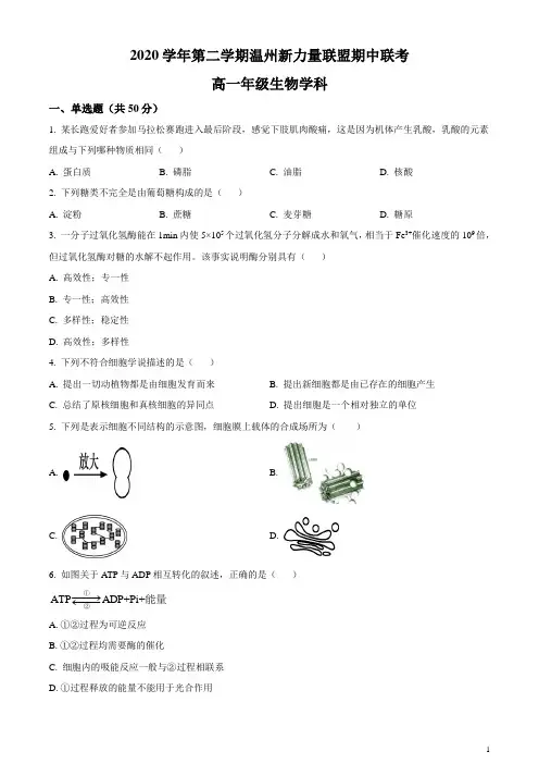 浙江省温州新力量联盟2020-2021学年高一下学期期中联考生物试题 含答案