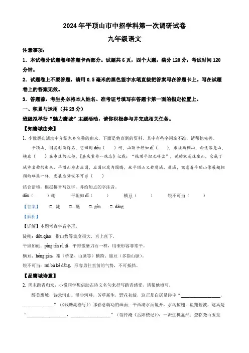 精品解析：2024年河南省平顶山市中考一模语文试题(解析版)