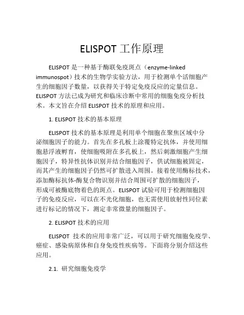 ELISPOT工作原理