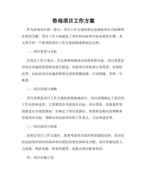 咨询项目工作方案