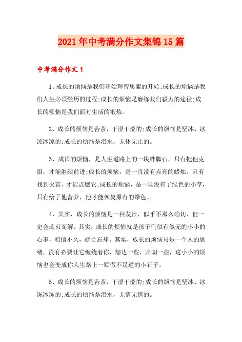 (模板)2021年中考满分作文集锦15篇