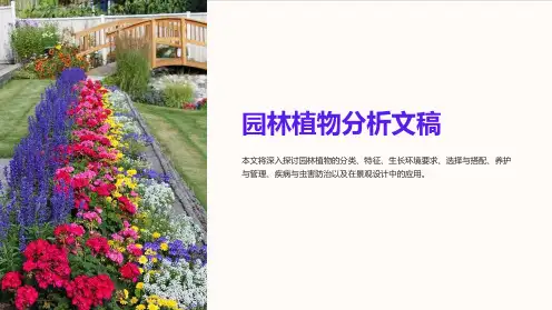 园林植物分析文稿