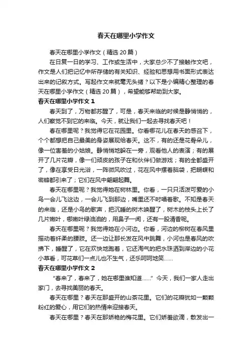春天在哪里小学作文（精选20篇）