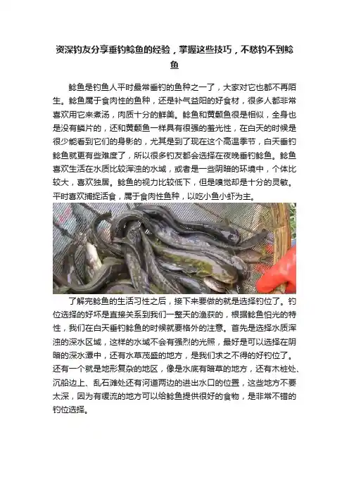 资深钓友分享垂钓鲶鱼的经验，掌握这些技巧，不愁钓不到鲶鱼