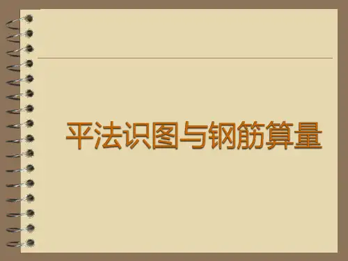 平法识图与钢筋算量