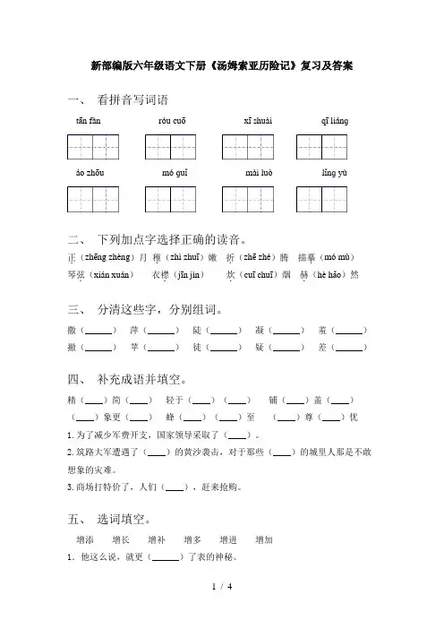 新部编版六年级语文下册《汤姆索亚历险记》复习及答案
