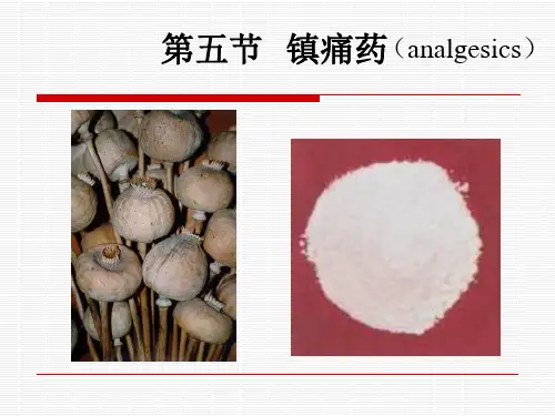 05镇痛药