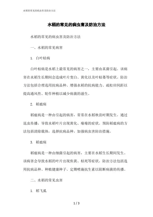 2023修正版水稻的常见的病虫害及防治方法