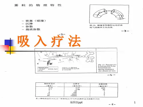 吸入治疗ppt课件