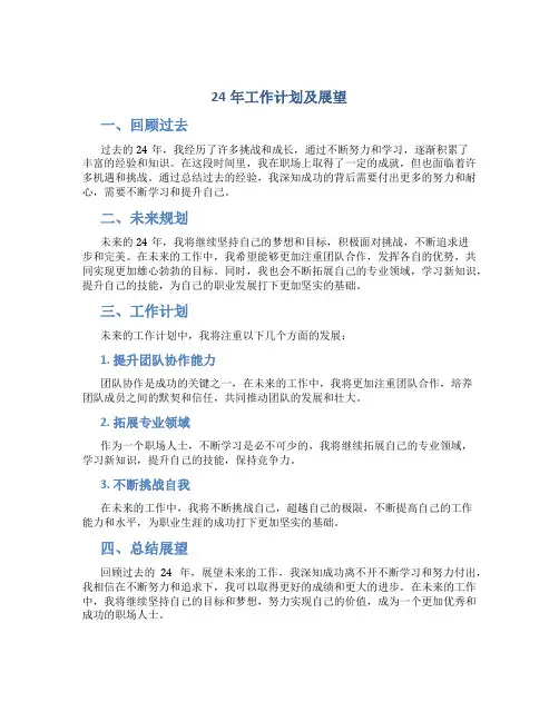 24年工作计划及展望