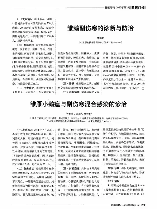 雏雁小鹅瘟与副伤寒混合感染的诊治