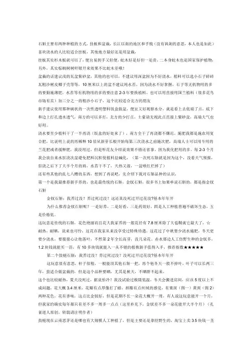 新手种各种石斛详解