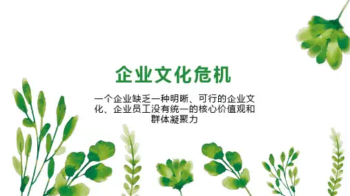 企业文化危机
