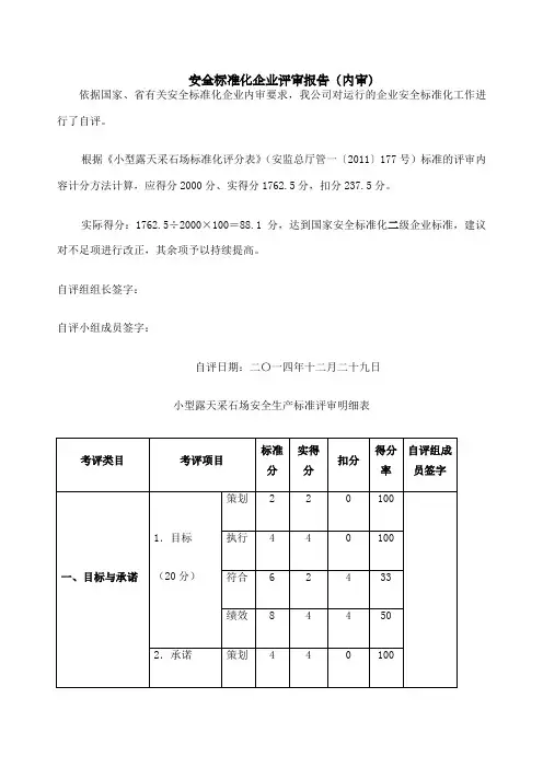 安全标准化评审报告