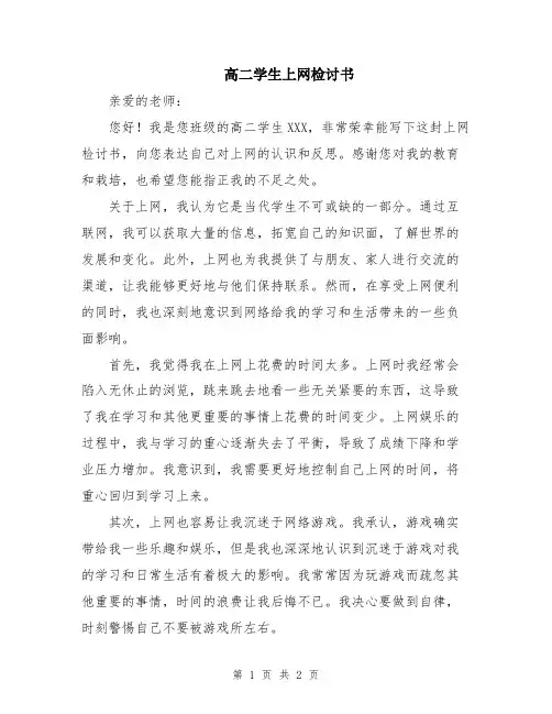 高二学生上网检讨书