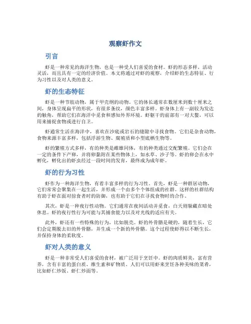 观察虾作文